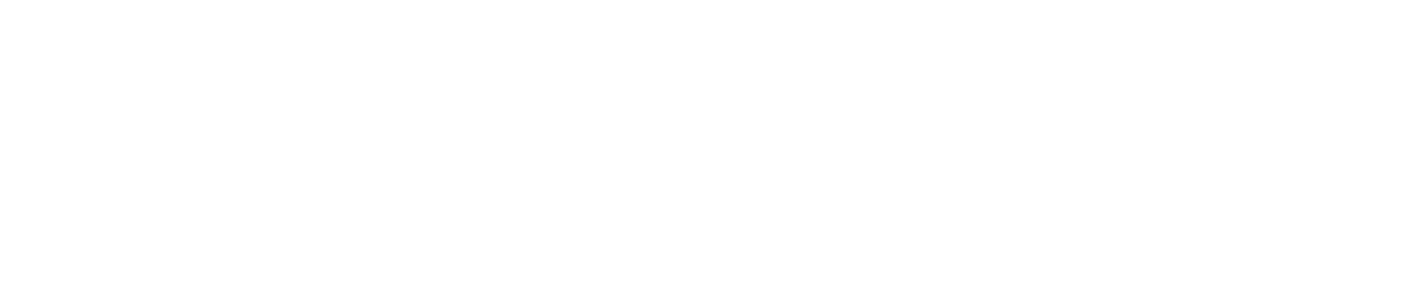 Horizontal Logo white (no bg)